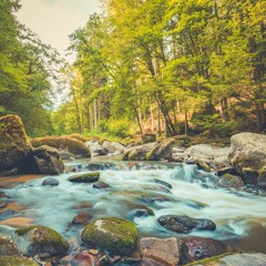 Om Aapyaayantu Mamaangaani