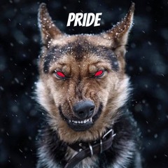 PRIDE