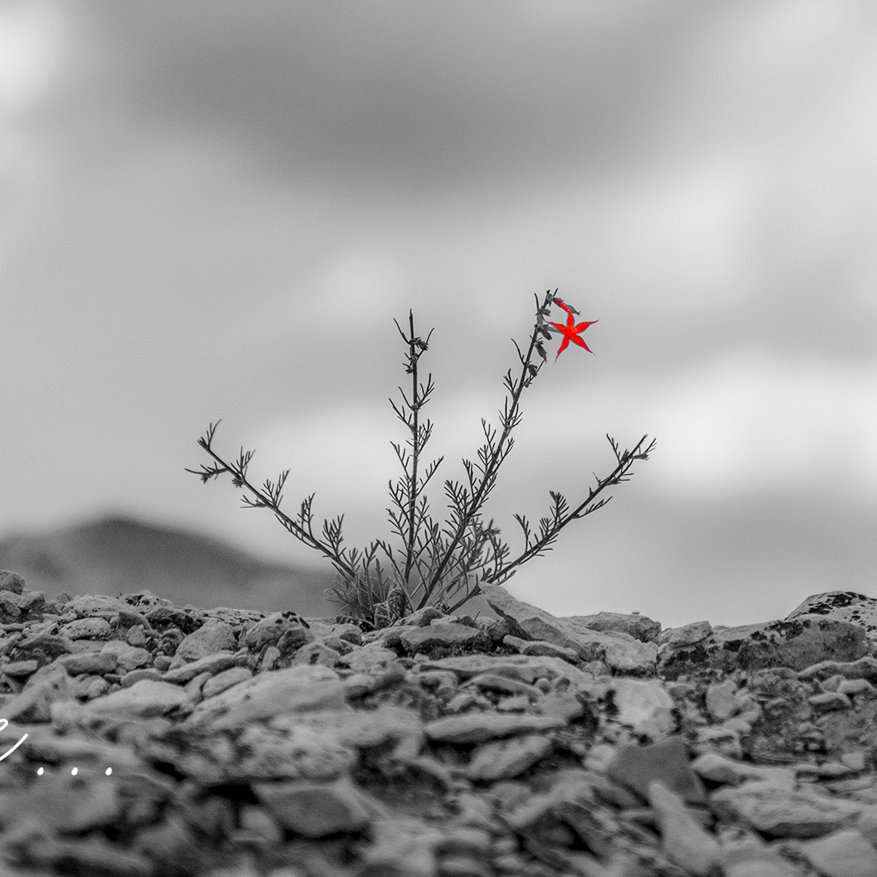 Advent 2018, Wk. 1: Hope for Yourself [Rom 7:14-25] episode artwork