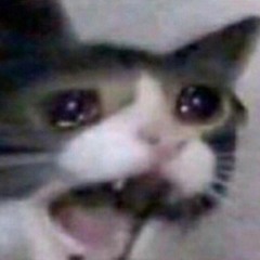 memes make me cry