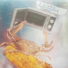 Cosmic Mixtape Pickle