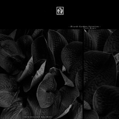 [NTS034] Ricardo Garduno -  Intentions EP Inc. Viels Remix
