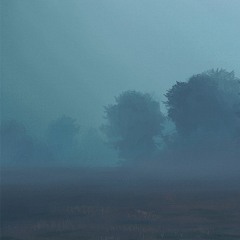 Dry Run