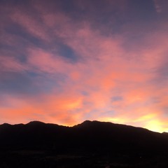 Bittersweet Roadblock