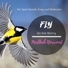 Fly (Do Not Worry)