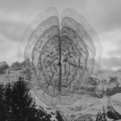 Mix Minds #8 - Law of the Inverse Square