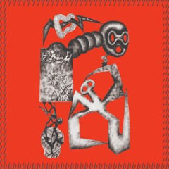 Fausto Mercier - 7 - X Stellarator / POINT#30