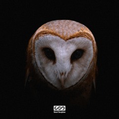OVO Samples by Soul Surplus - Thank Me Now Sample Pack