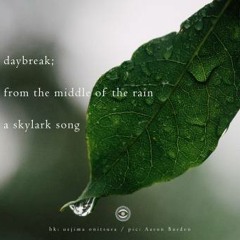 daybreak; from the middle of the rain a skylark song (Naviarhaiku 257)