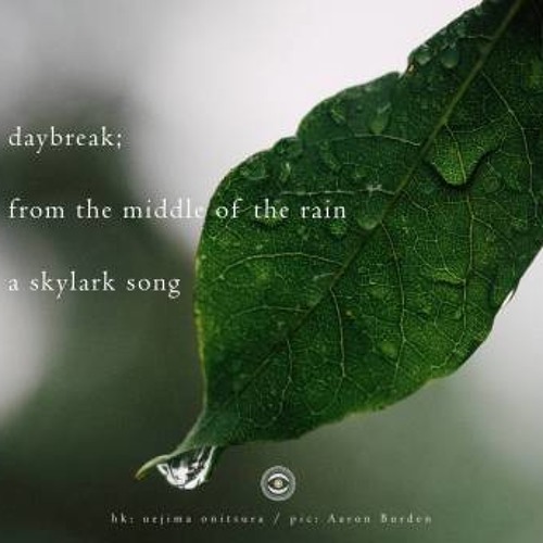daybreak; from the middle of the rain a skylark song (Naviarhaiku 257)