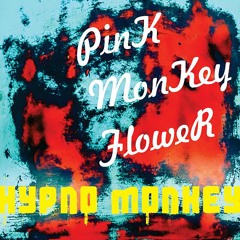 Pink Monkey Flower - DISENGAGE (Ledgroove Somewhere Someone Mix)