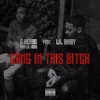 Lil Herb Gang In This Bitch Ft Lil Bibby Mp3