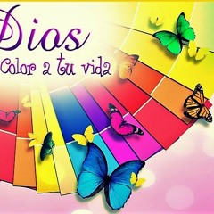 DALE COLOR A TU VIDA