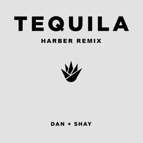 Dan + Shay - Tequila (HARBER Remix)