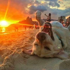 Beautiful Minds (Free Download)