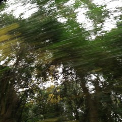 sometimes i dream of a place where you can whisper with the wind