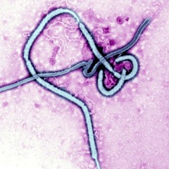 KILL EBOLA - INFECTED [PROD. REGRETING]