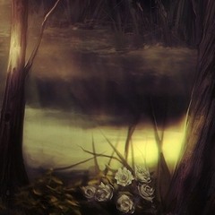 Beautiful & Mysterious