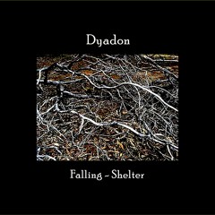 Shelter