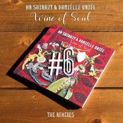 Mr. Shirazy - Wine Of Soul (Rockitbird Remix)
