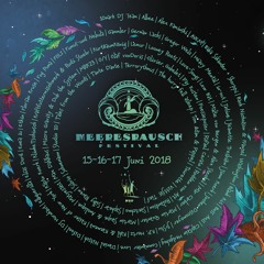 Commander Love - Meeresrausch-Festival 2018 - Schipp An Land [So. 6 p.m.]