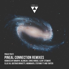PRSM018 - Paulo Foltz - Pulsar (Binaryh Remix)