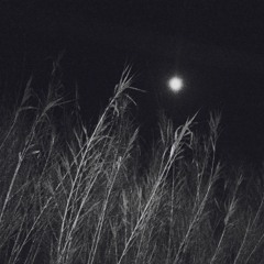 Kabanjak - Bright Moments - Mixtape