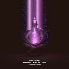 LZRD & Kuur ft. Cameron Forbes - World Of Our Own (BØUSE Remix)