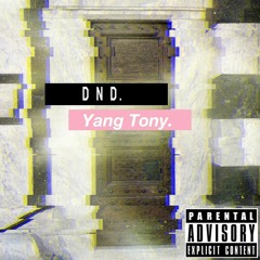 YangTony - DND (Prod.By YangTony)