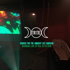 SOUNDS FOR THE AMBIENT SEX DUNGEON (LIVE AT PLU, 01/12/18)
