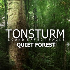 TONSTURM 12 Quiet Forest