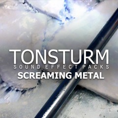 TONSTURM 11 Screaming Metal