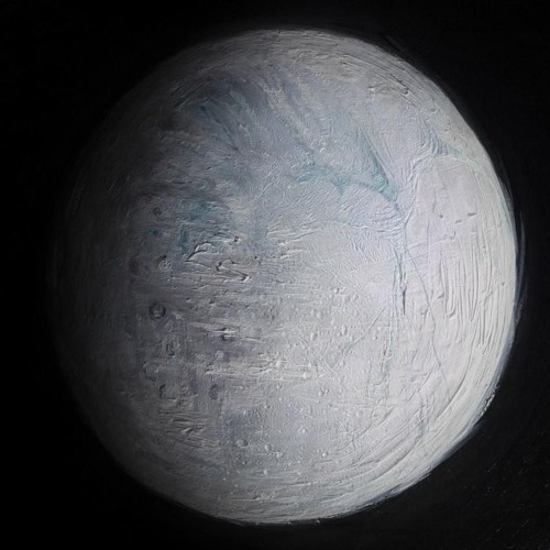 Can Ozan - Deniz Kabuğu