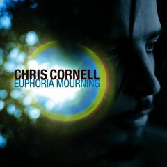 Preaching The End Of The World - Chris Cornell(Instrumental By Edu Matu)