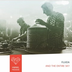 Premiere: Fluida - And The Entire Sky (Do not sit on the furniture recordings)