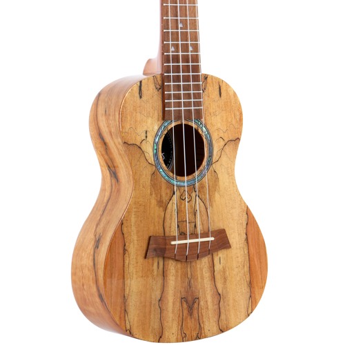 Stream Spalted Maple Concert Ukulele Bondi Ukuleles BO SM C by