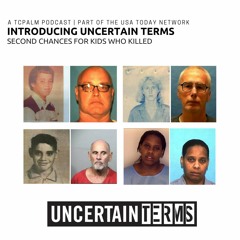 Introducing Uncertain Terms