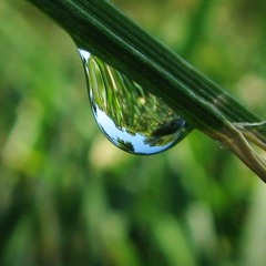 Gitarlelen-spielerei