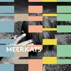 THE PLOTcast #43 - Meerkats
