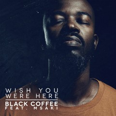 Black Coffee - Wish You Were Here (feat. Msaki)