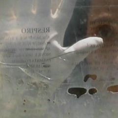 The Departure Of The Fleet