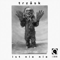 Trzåsk - ist nie nie [Out Now - Free Release]