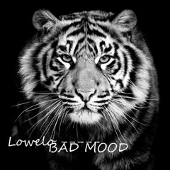 DJ Lowelo Bad Mood