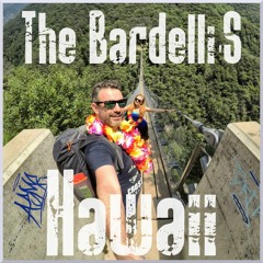 #27 The Bardelli'S - Hawaii (FREE VLOG MUSIC)