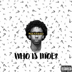 MoeFaygoo - Who Is Moe