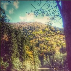 Hey, That's No Way To Say Goodbye (Leonard Cohen Cover)