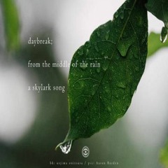Daybreak - From The Middle Of The Rain A Skylark Song (Naviarhaiku 257)