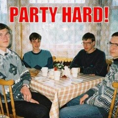 !! Party Hard !! ( VinylFetzerei )
