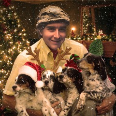 Et Træ Med En Lille Fasan