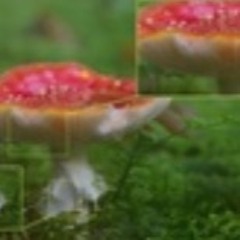 Ssad Cry live slower dies (prod. tgwog x live slower)